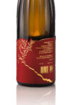 corinto SPECIAL EDITION_20260228_01