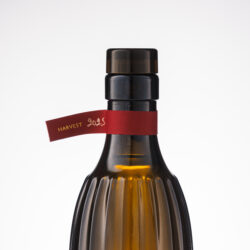corinto SPECIAL EDITION_20260228_01