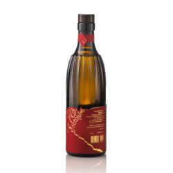 corinto SPECIAL EDITION_20260228_01